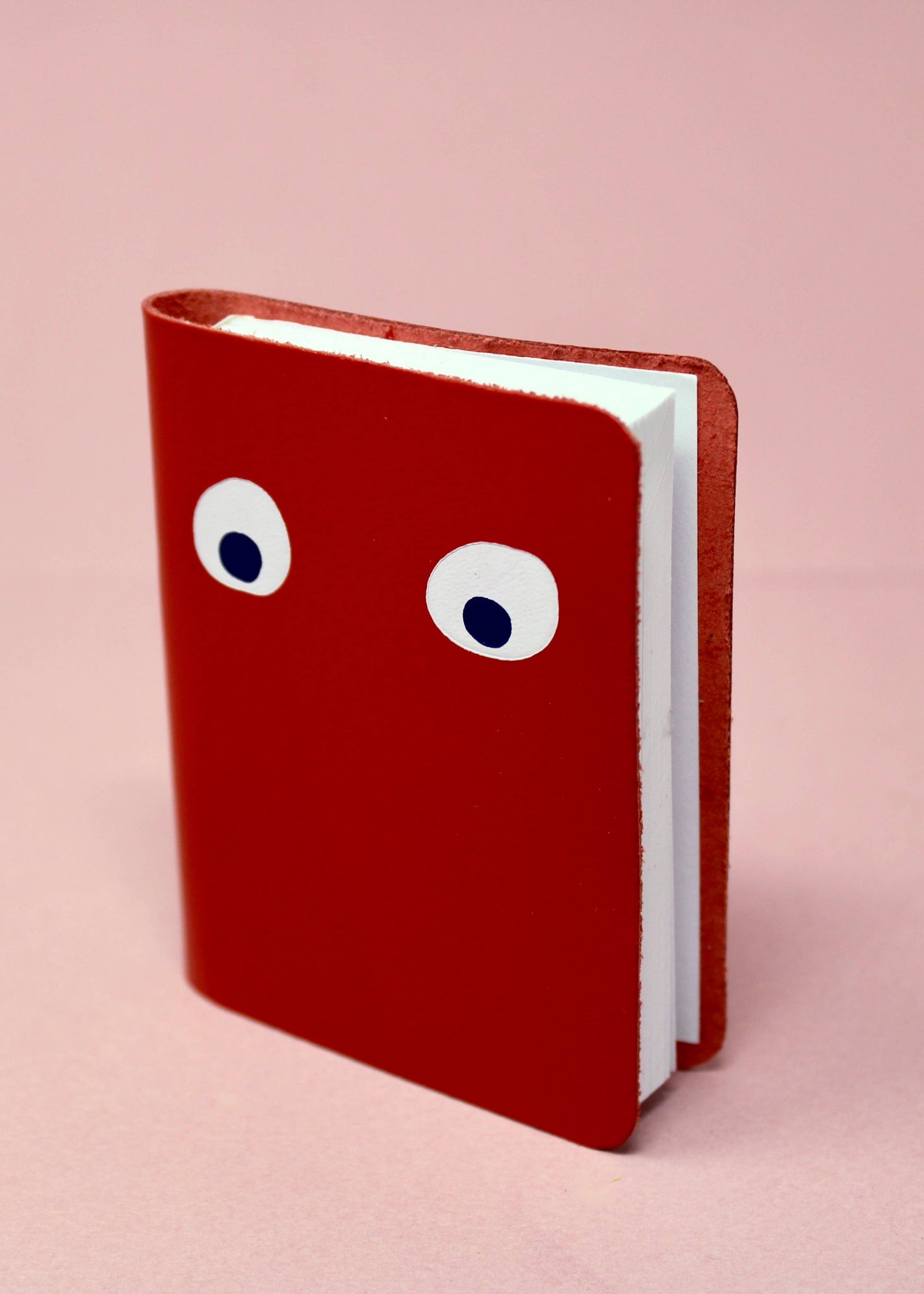 GOOGLY EYE MINI LEATHER NOTEBOOK