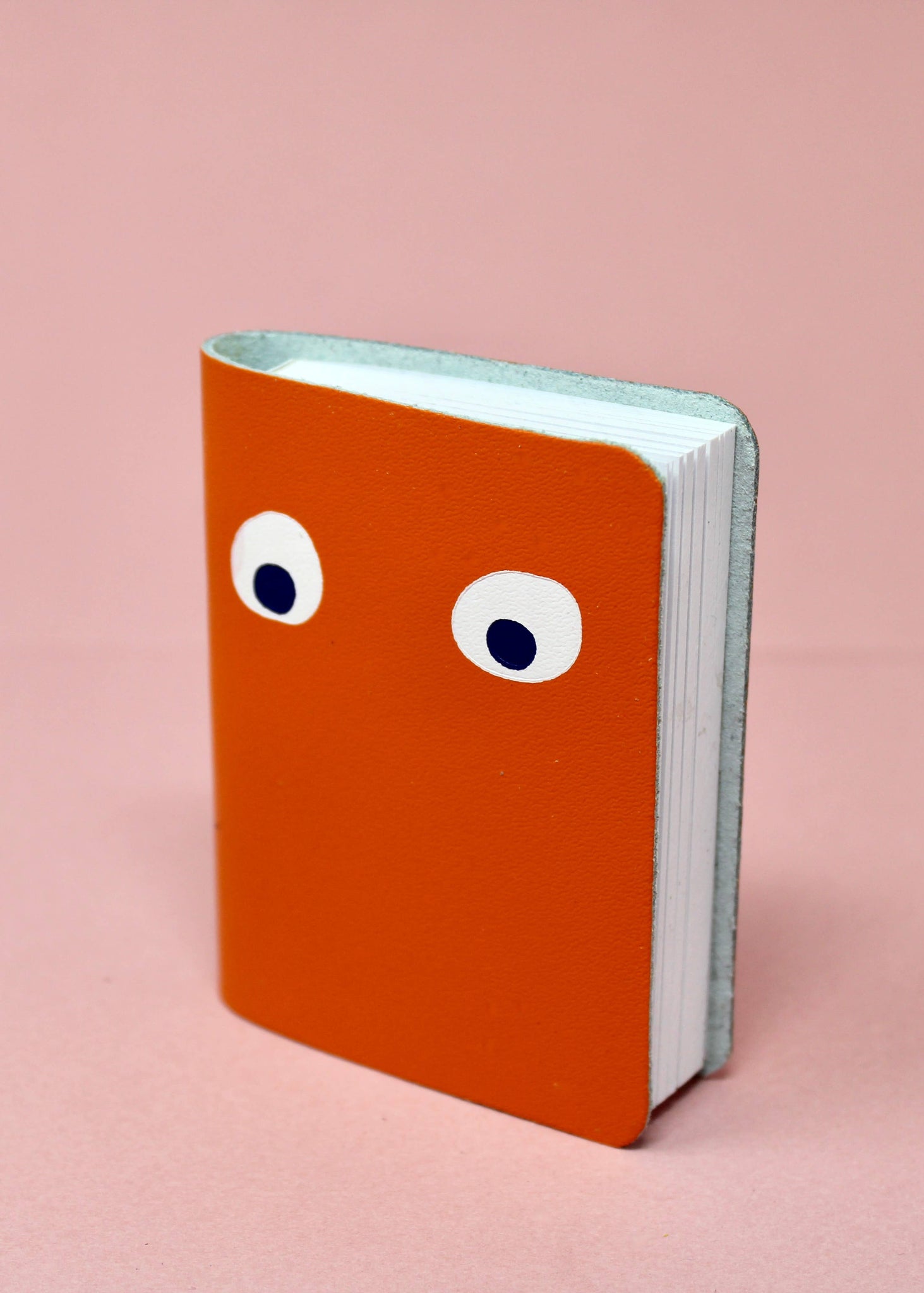 GOOGLY EYE MINI LEATHER NOTEBOOK