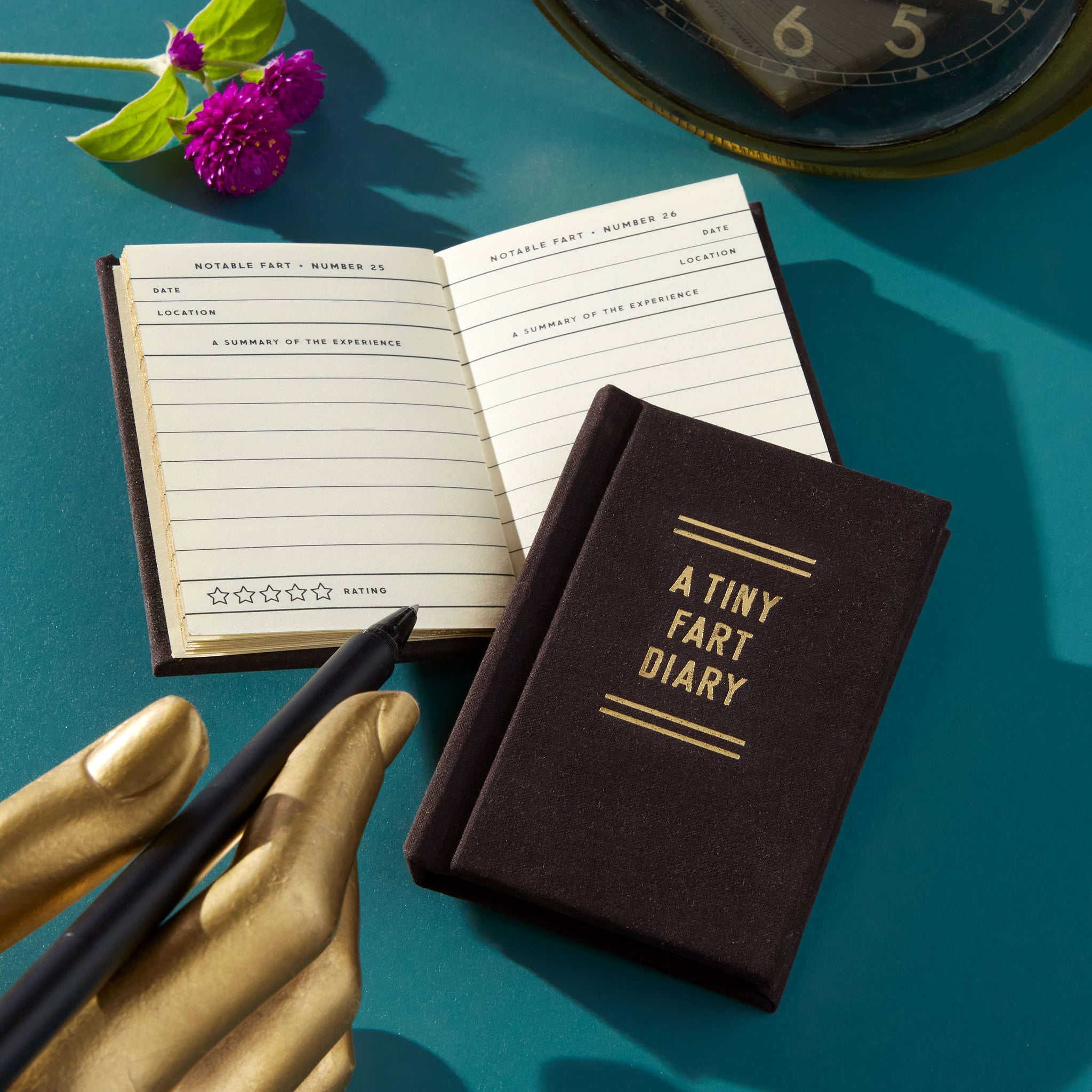 A TINY FART JOURNAL