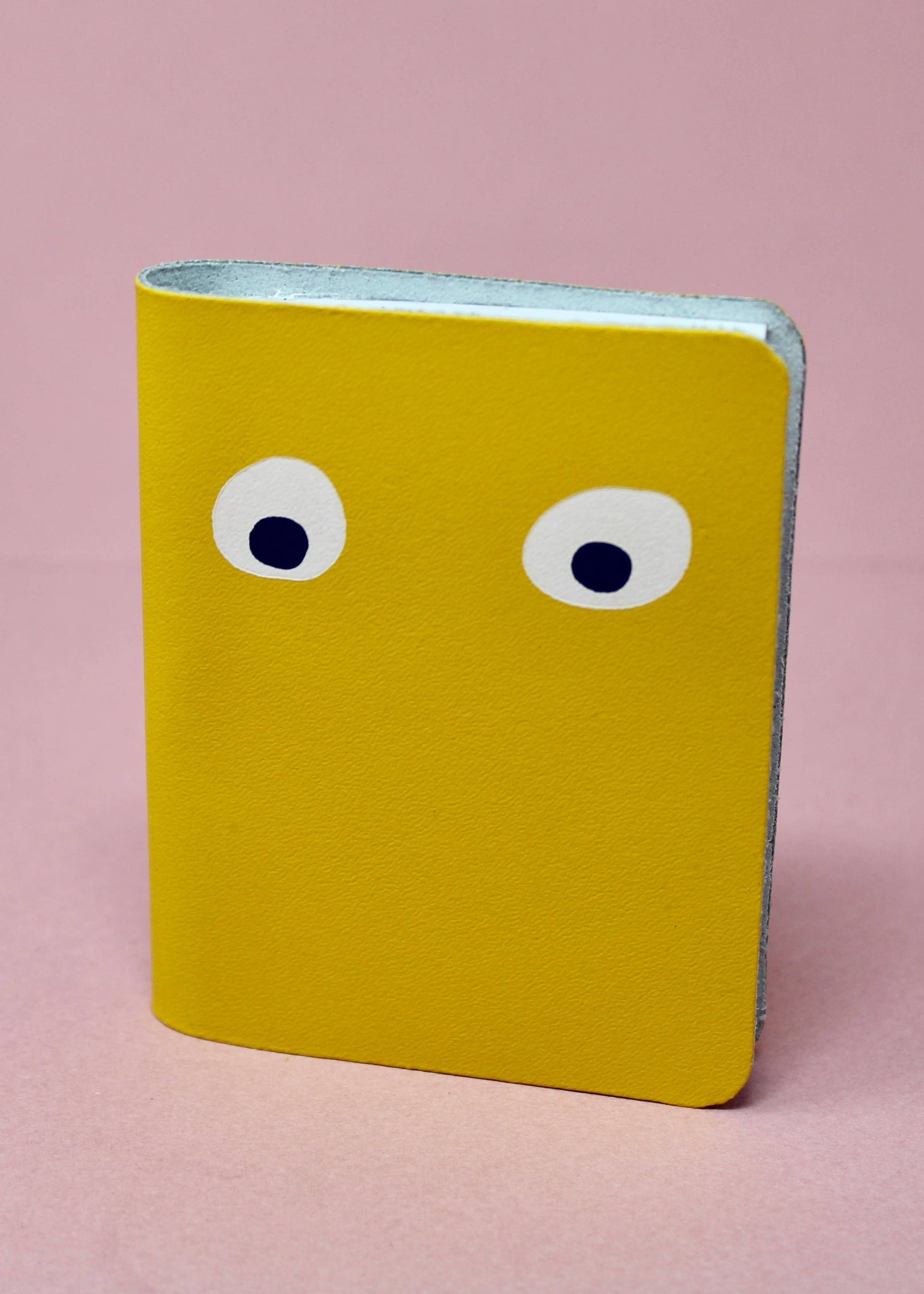 GOOGLY EYE MINI LEATHER NOTEBOOK