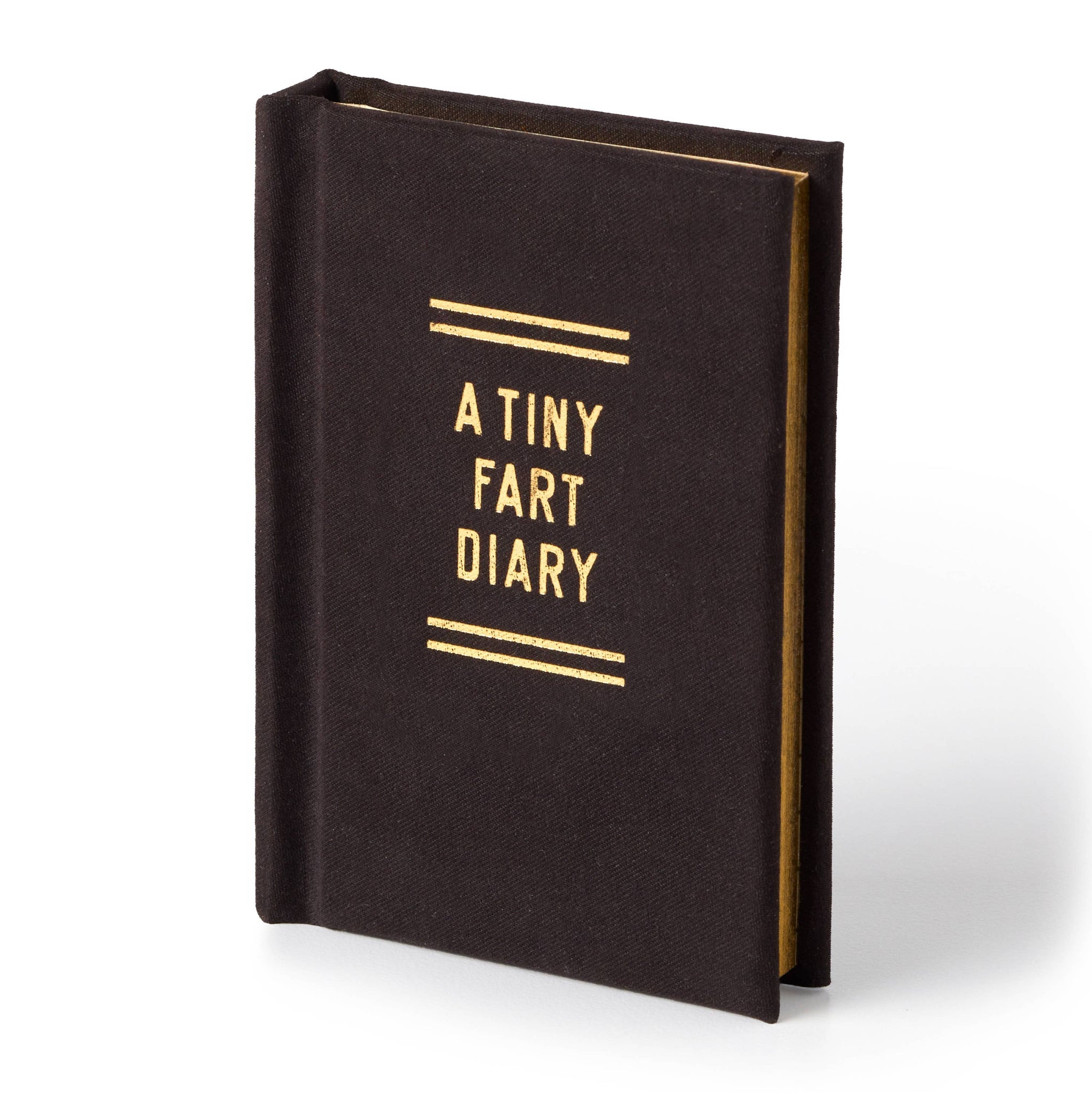 A TINY FART JOURNAL