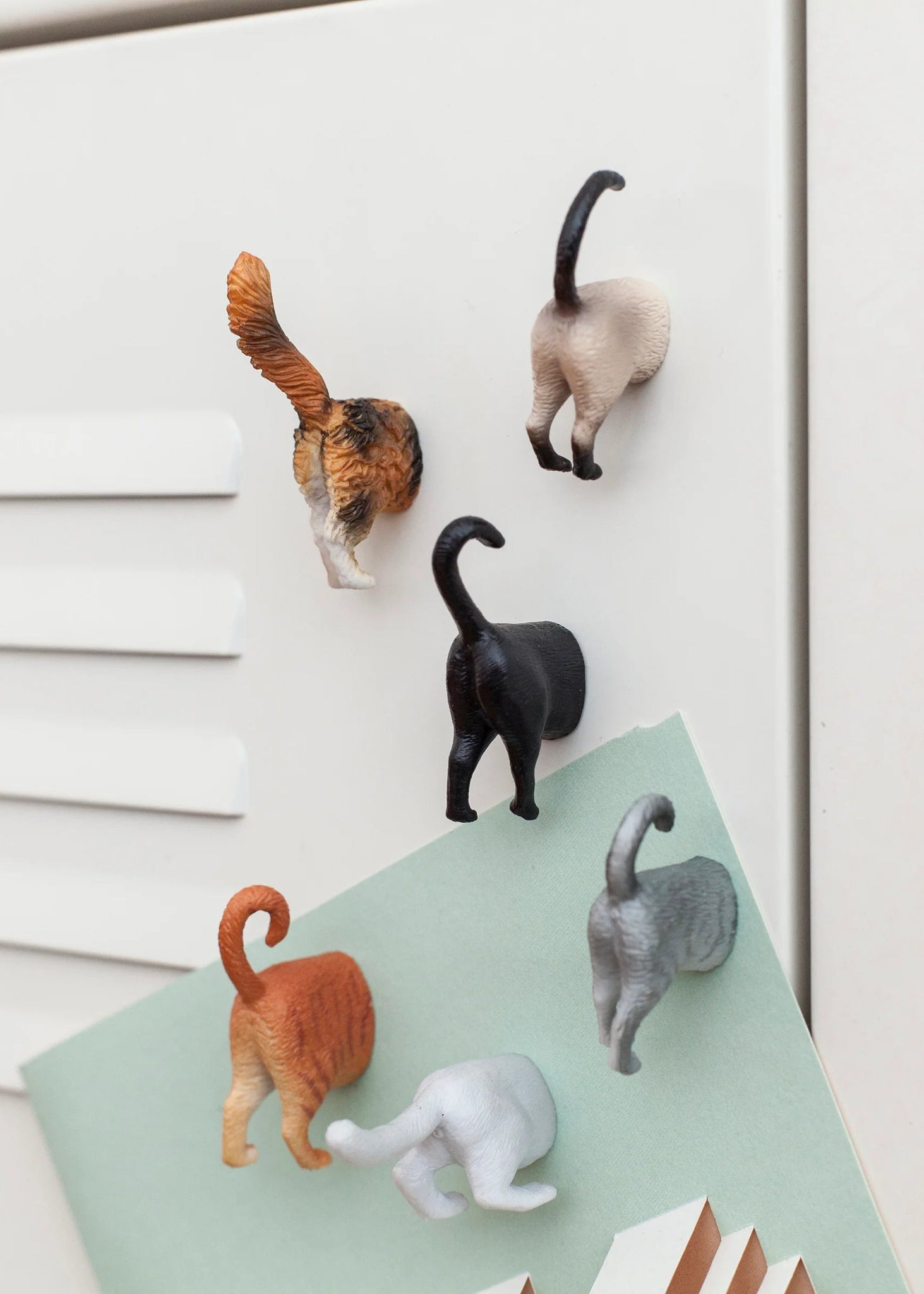 PET TAIL MAGNET SET GIFTS