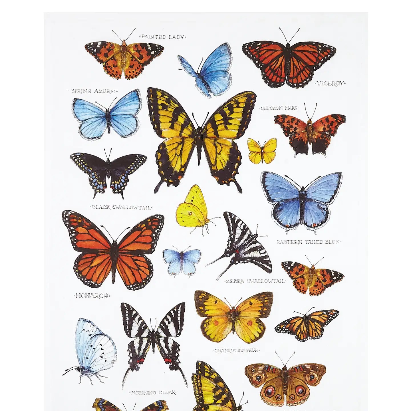 COTTON KITCHEN TOWEL
